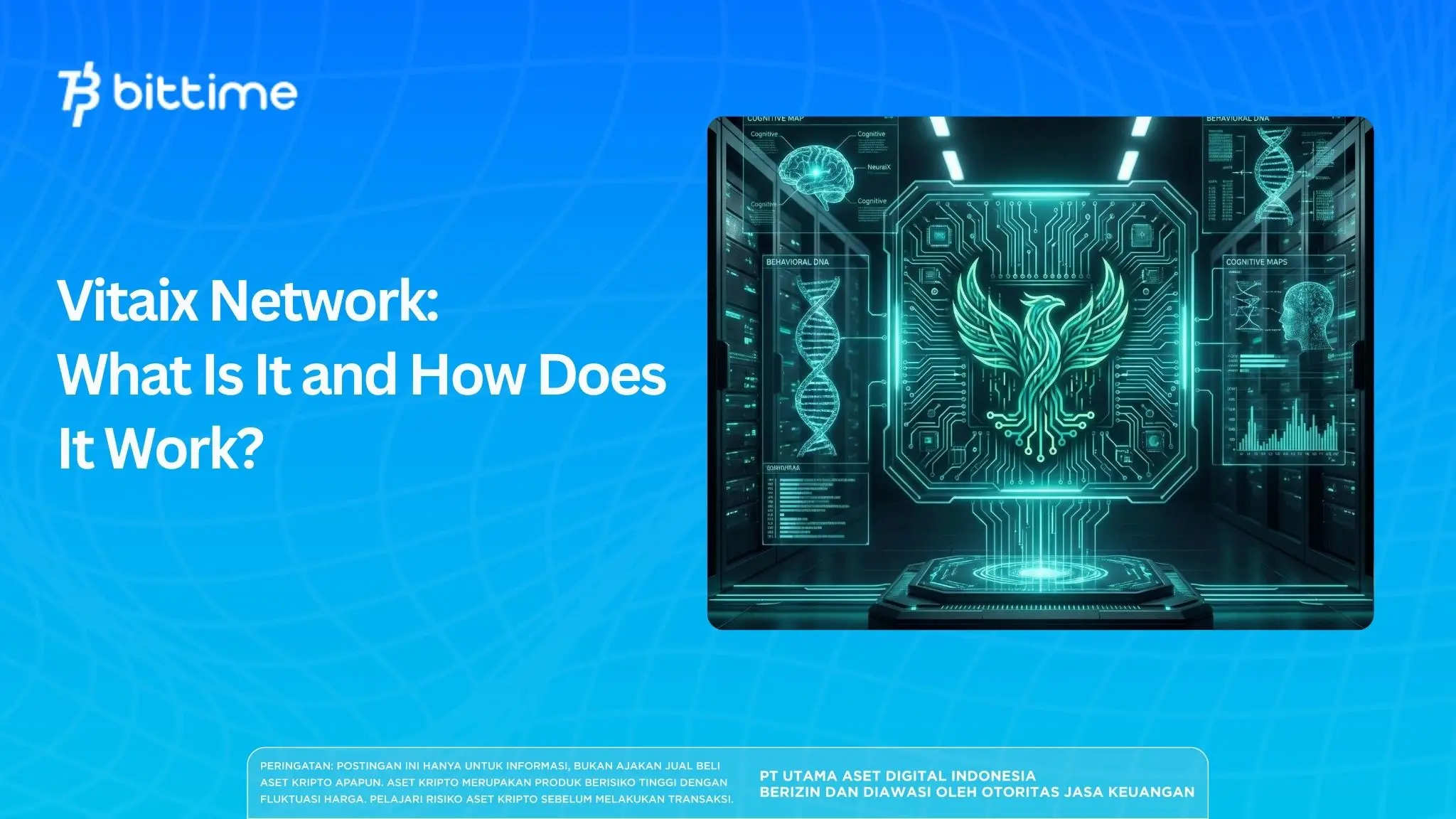 Vitaix Network: What Is It and How Does It Work?