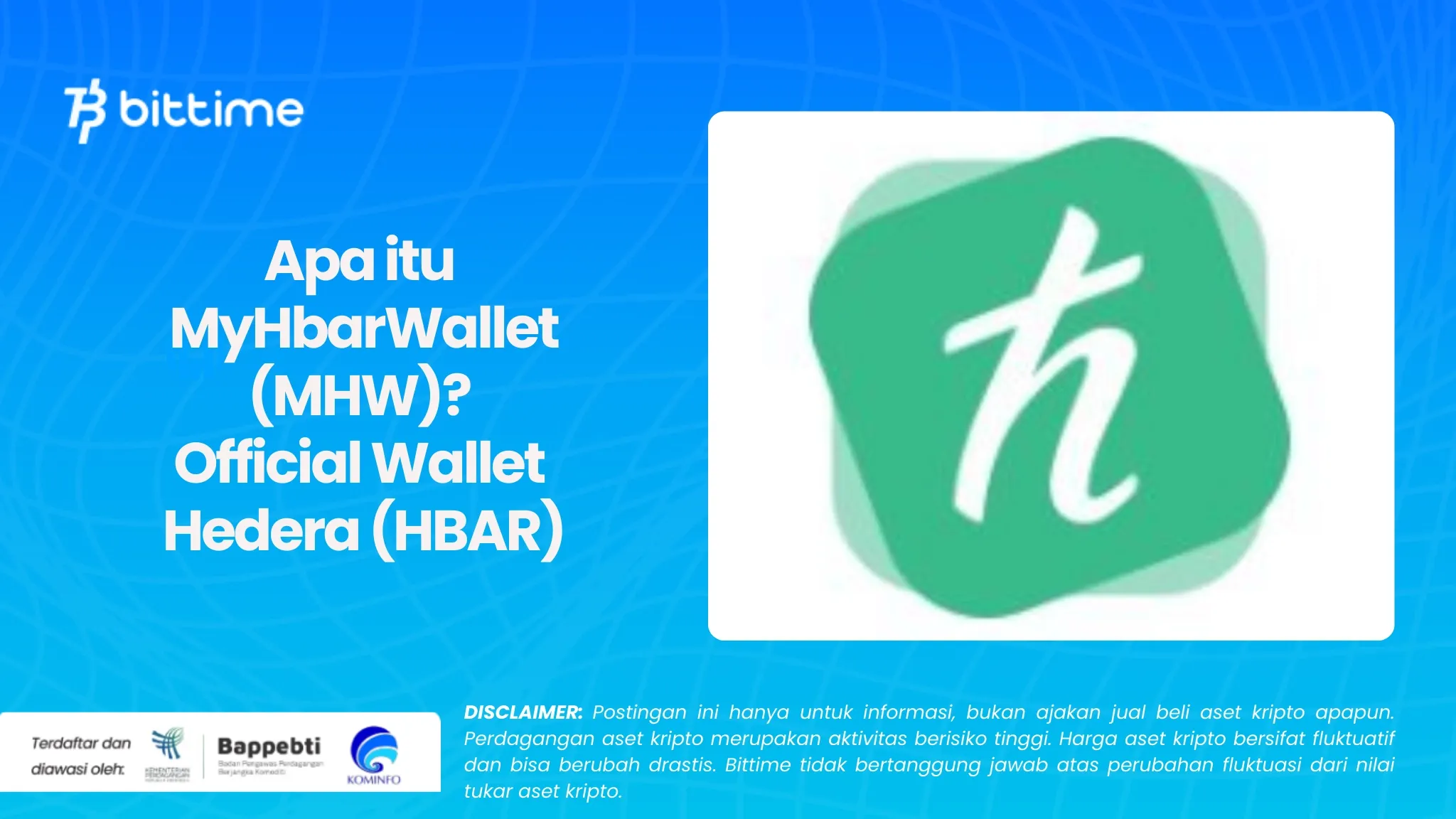 Wallet Hedera.webp