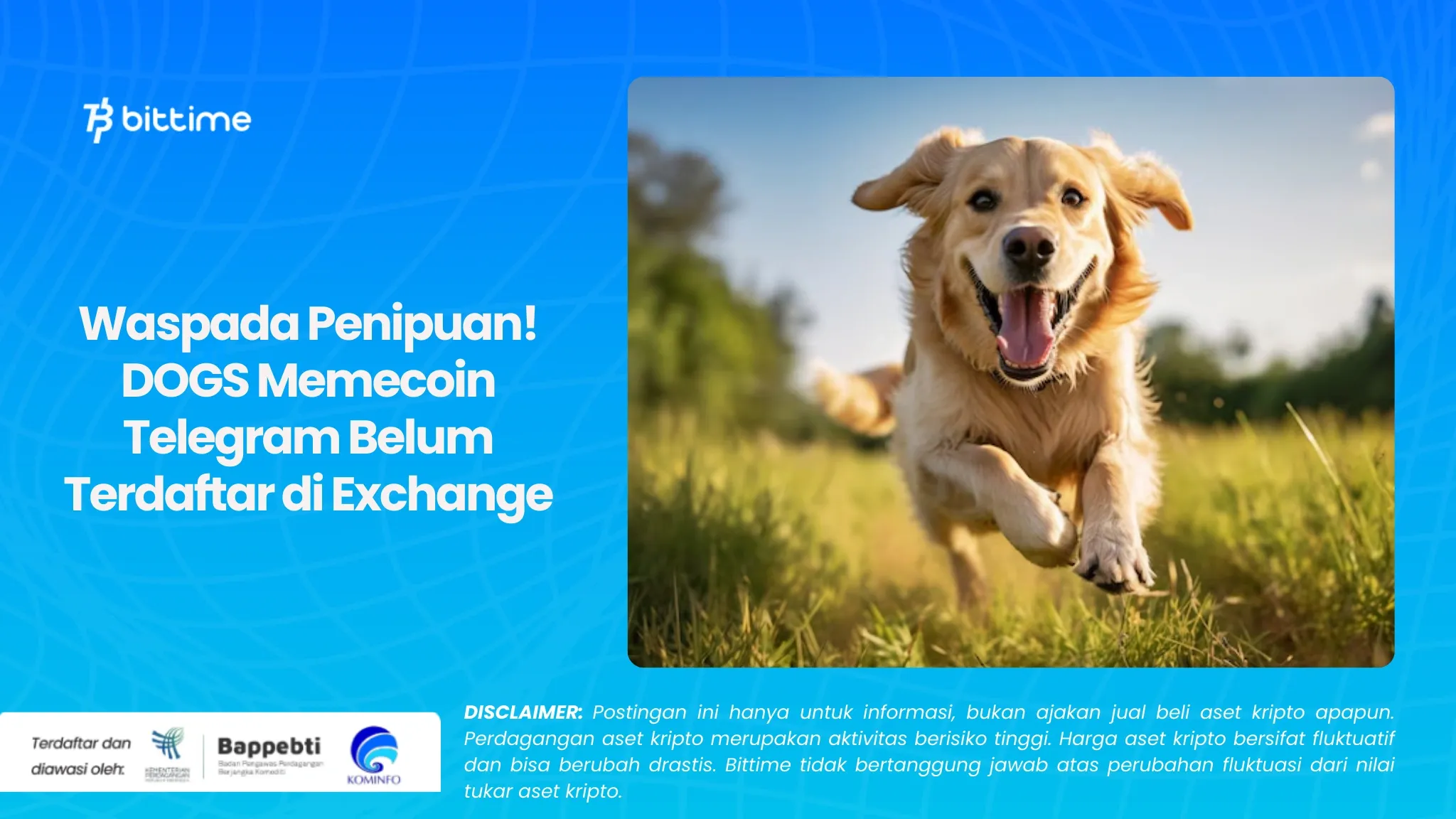 Waspada Penipuan! DOGS Memecoin Telegram Belum Terdaftar di Exchange.webp