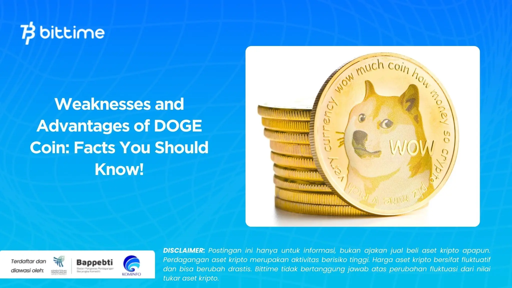Weaknesses and Advantages of DOGE Coin Facts You Should Know!
