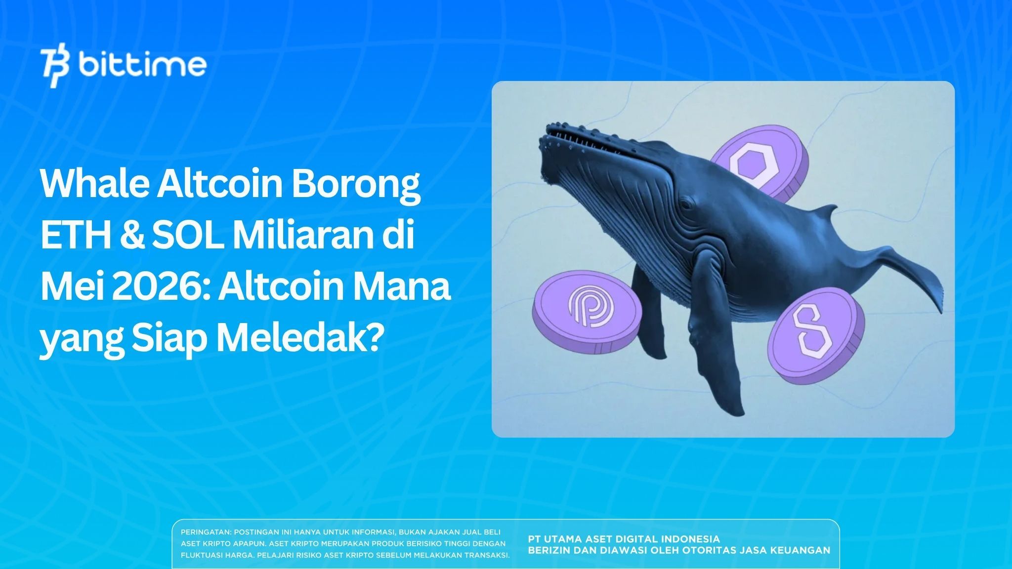 Whale Altcoin Borong ETH & SOL Miliaran di Mei 2026: Altcoin Mana yang Siap Meledak?