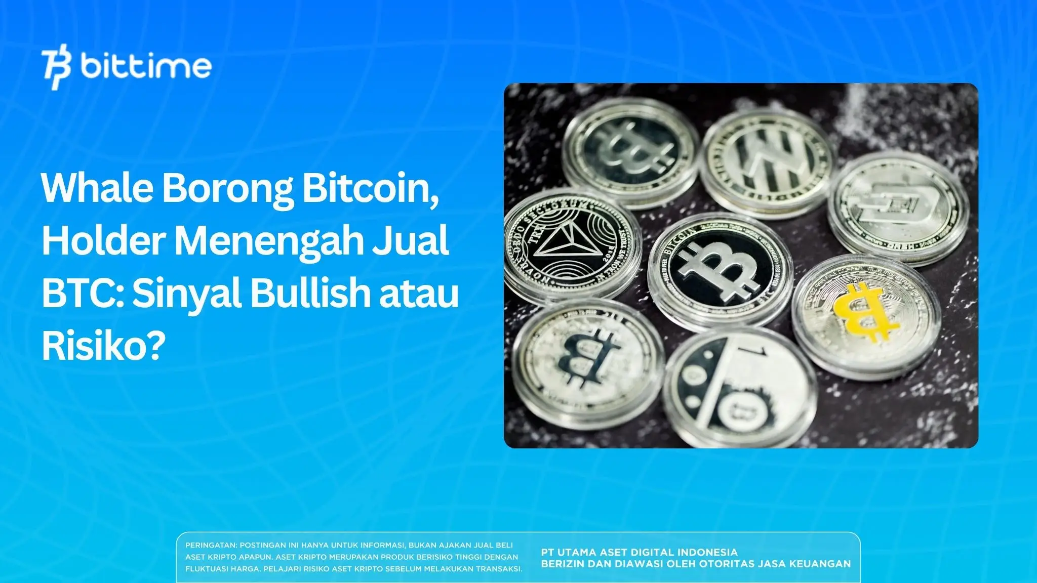 Whale Borong Bitcoin, Holder Menengah Jual BTC: Sinyal Bullish atau Risiko?