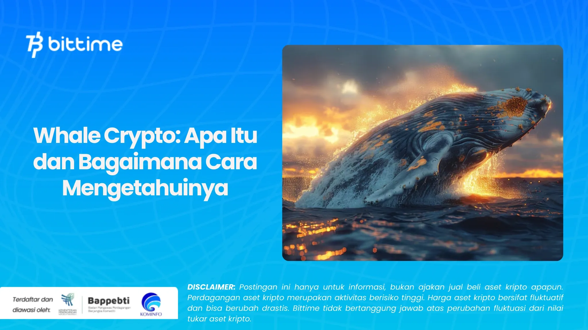 Whale Crypto Apa Itu dan Bagaimana Cara Mengetahuinya