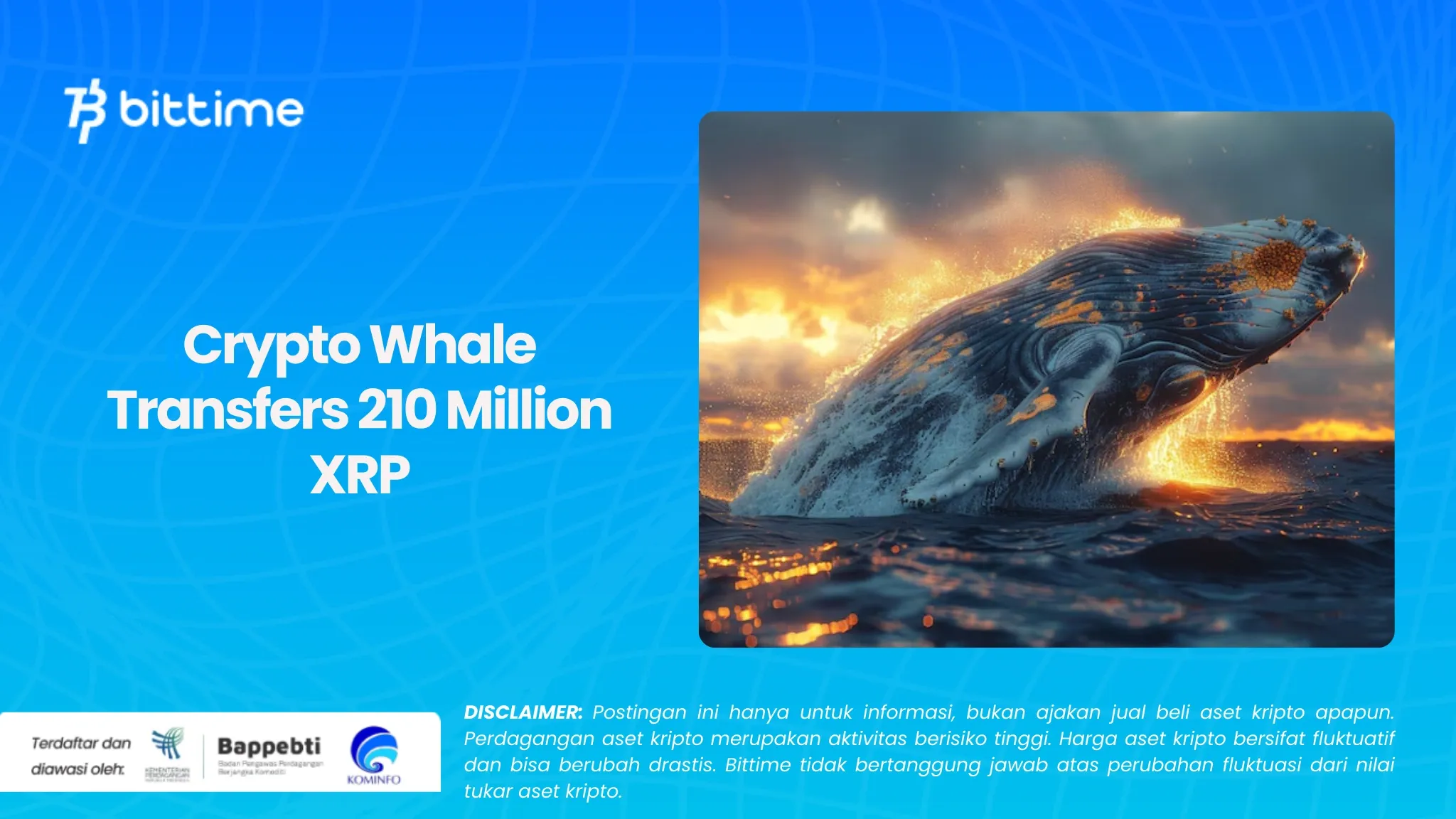 Whale Kripto Transfer 210 Juta XRP (1).webp