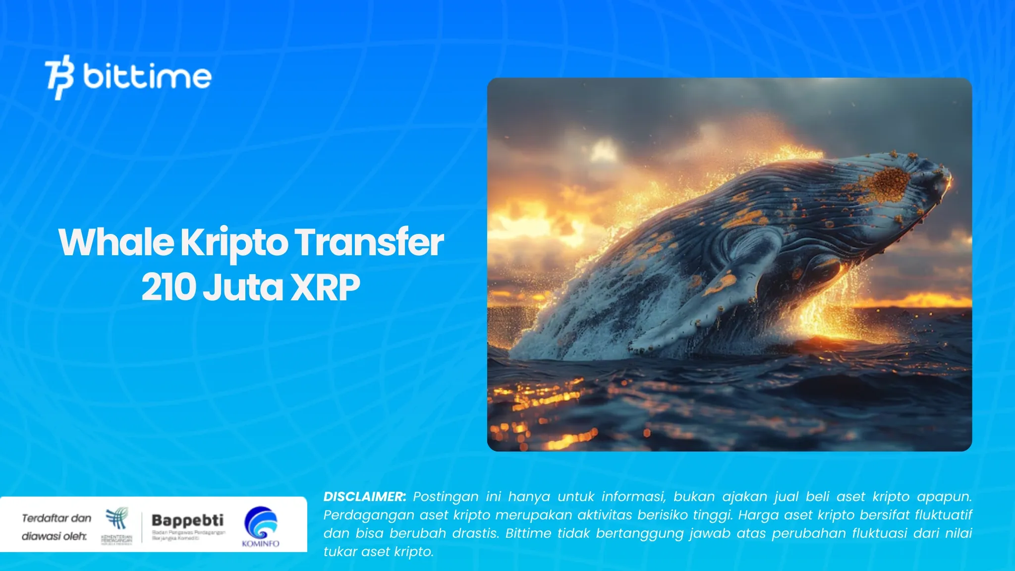 Whale Kripto Transfer 210 Juta XRP.webp