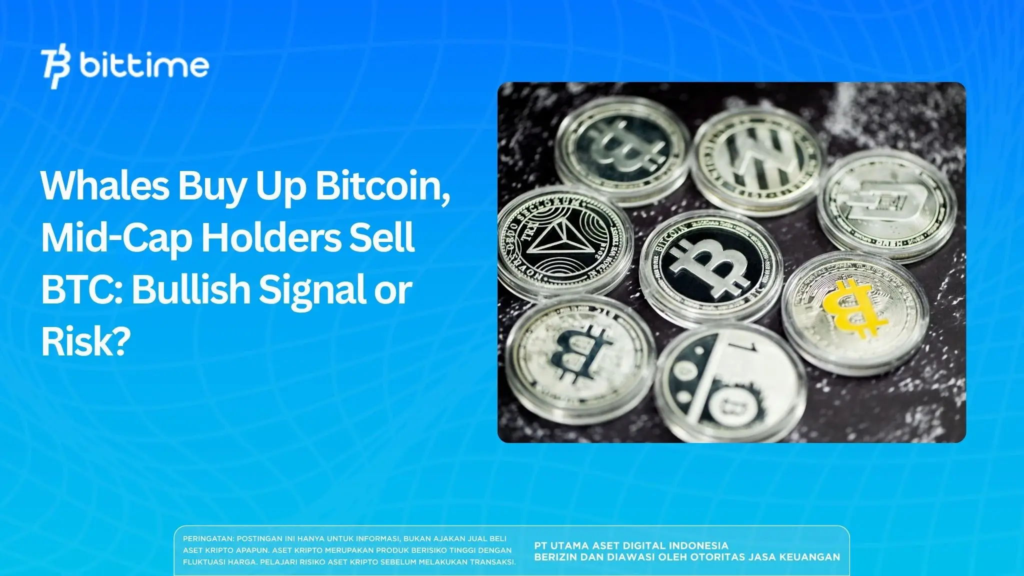 Whales Buy Up Bitcoin, Mid-Cap Holders Sell BTC: Bullish Signal or Risk?