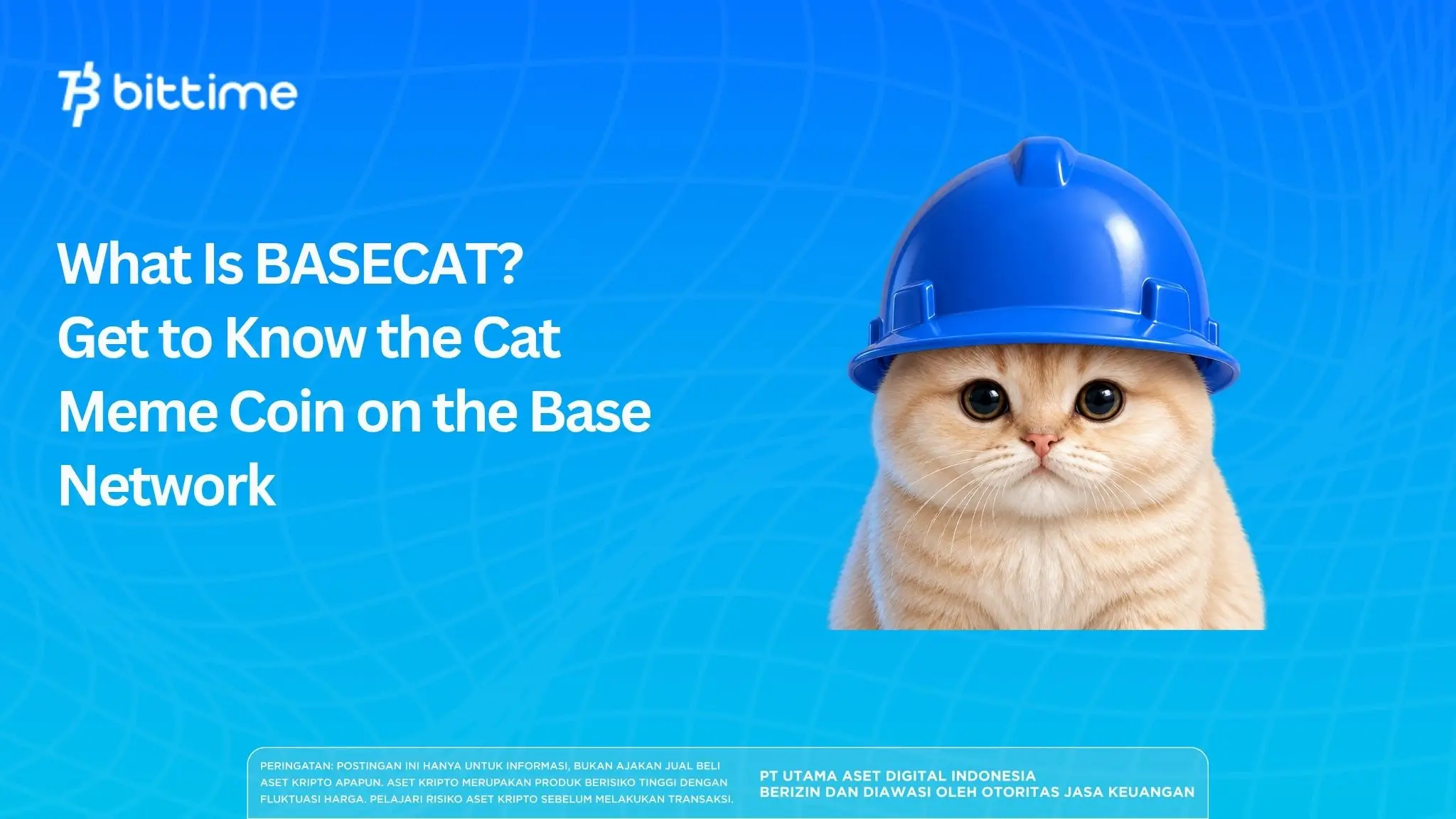 What Is BASECAT? The Cat Meme Coin on the Base Network