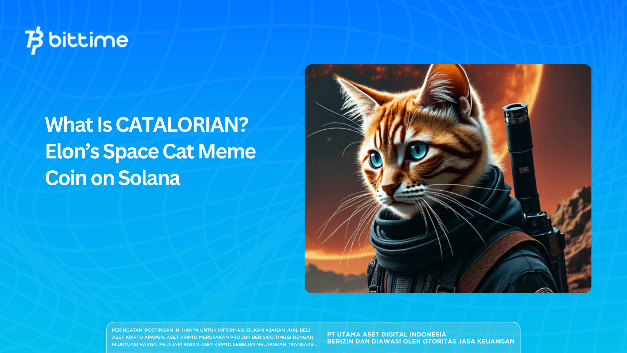 What Is CATALORIAN? Elon’s Space Cat Meme Coin on Solana