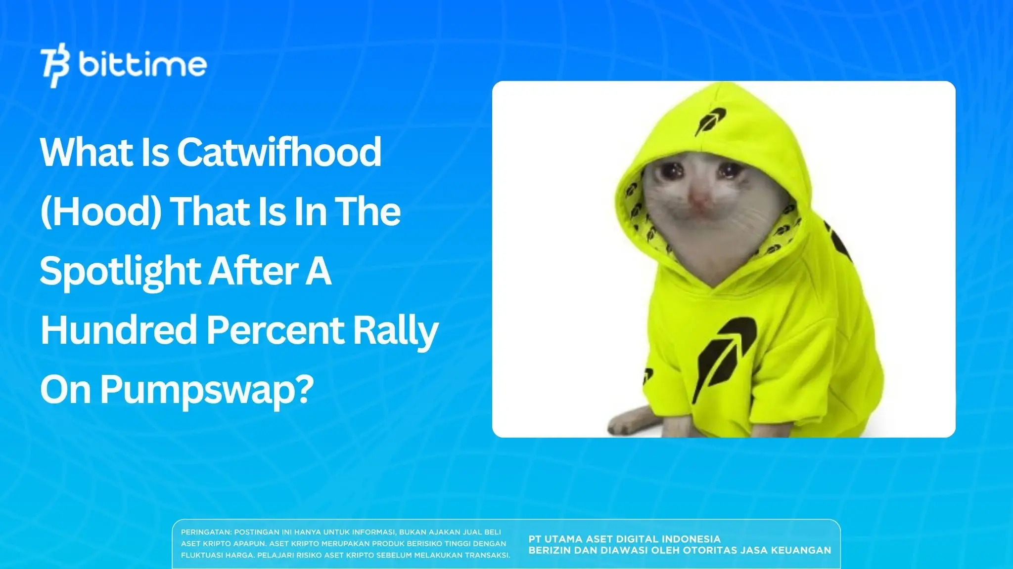 What Is Catwifhood (Hood) That Is In The Spotlight After A Hundred Percent Rally On Pumpswap?