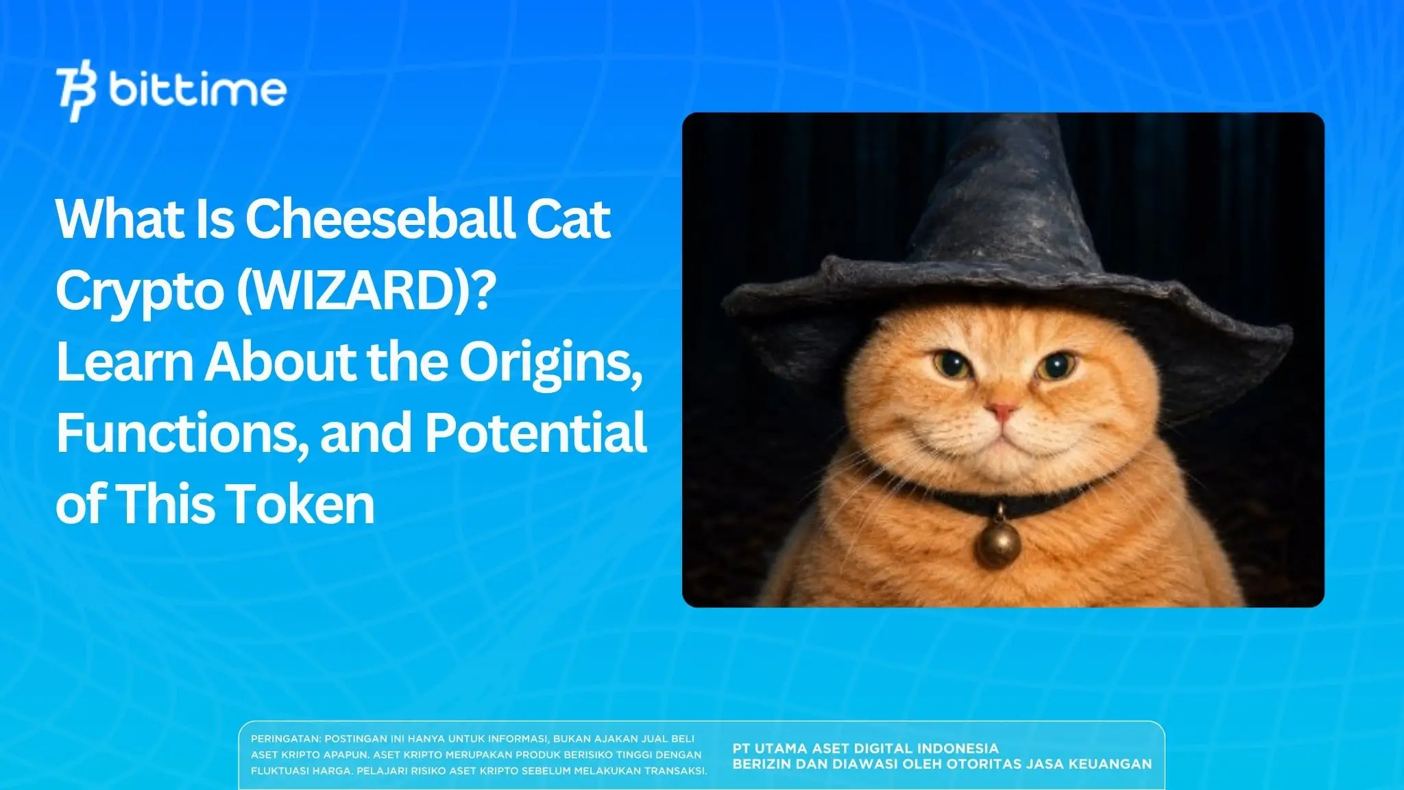 What Is Cheeseball Cat Crypto (WIZARD) Learn About the Origins, Functions, and Potential of This Token.webp