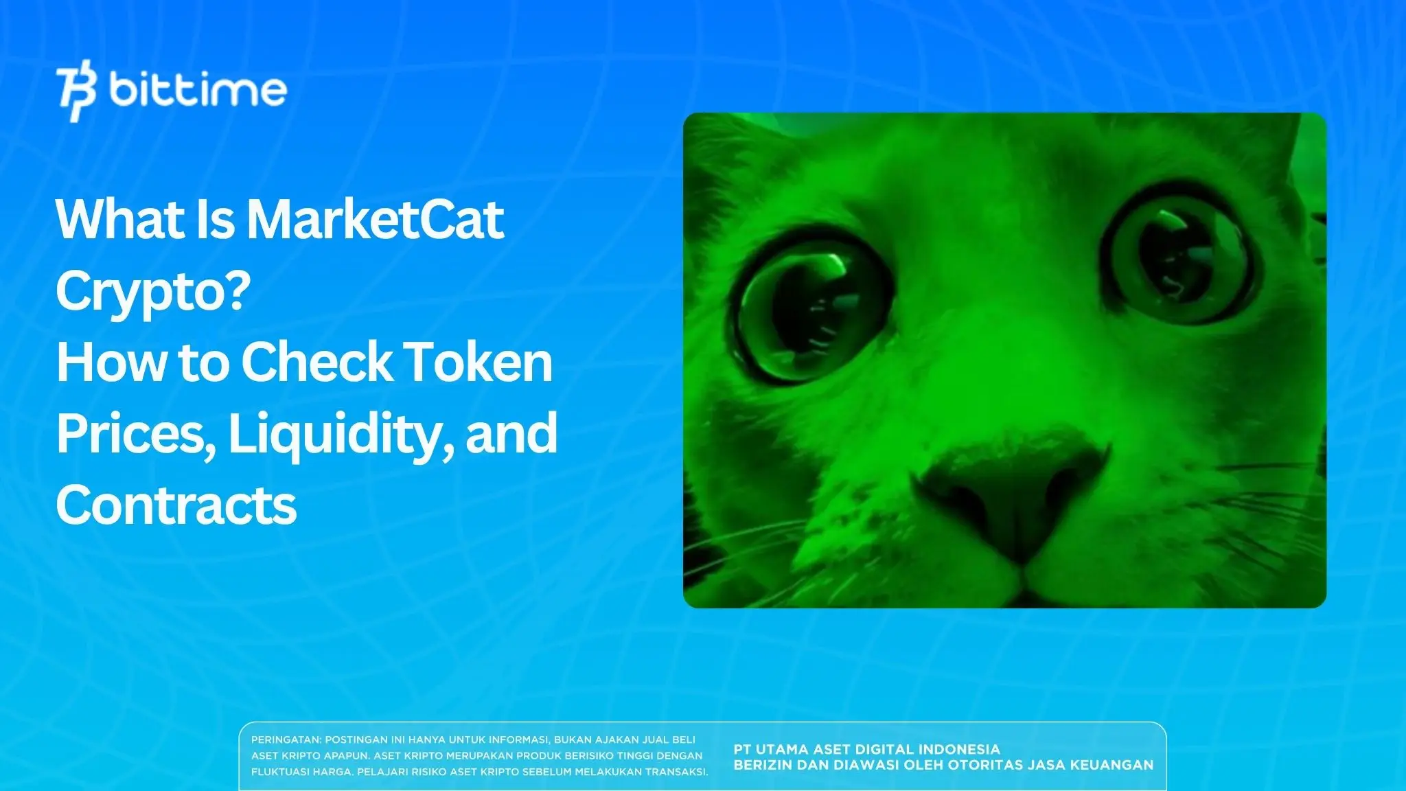 What Is MarketCat Crypto? How to Check Token Prices