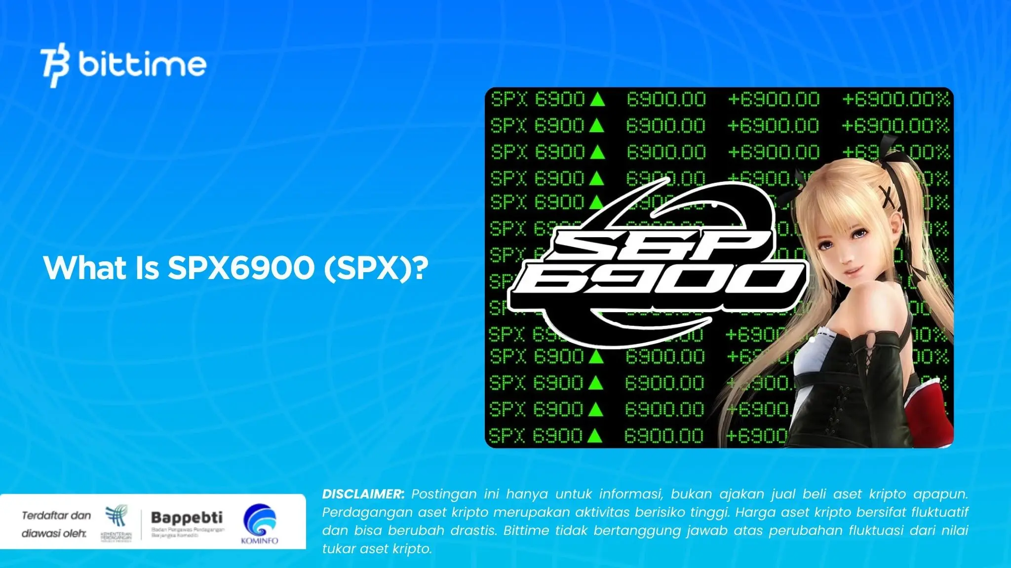 What Is SPX6900 (SPX).webp