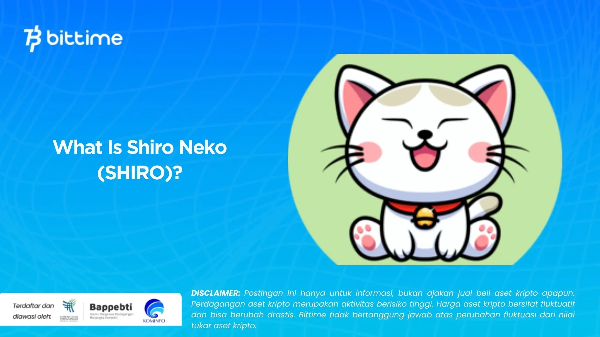 What Is Shiro Neko (SHIRO).webp