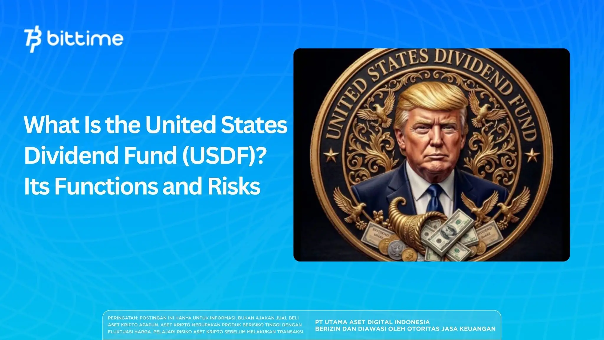 What Is the United States Dividend Fund (USDF)? Its Functions and Risks