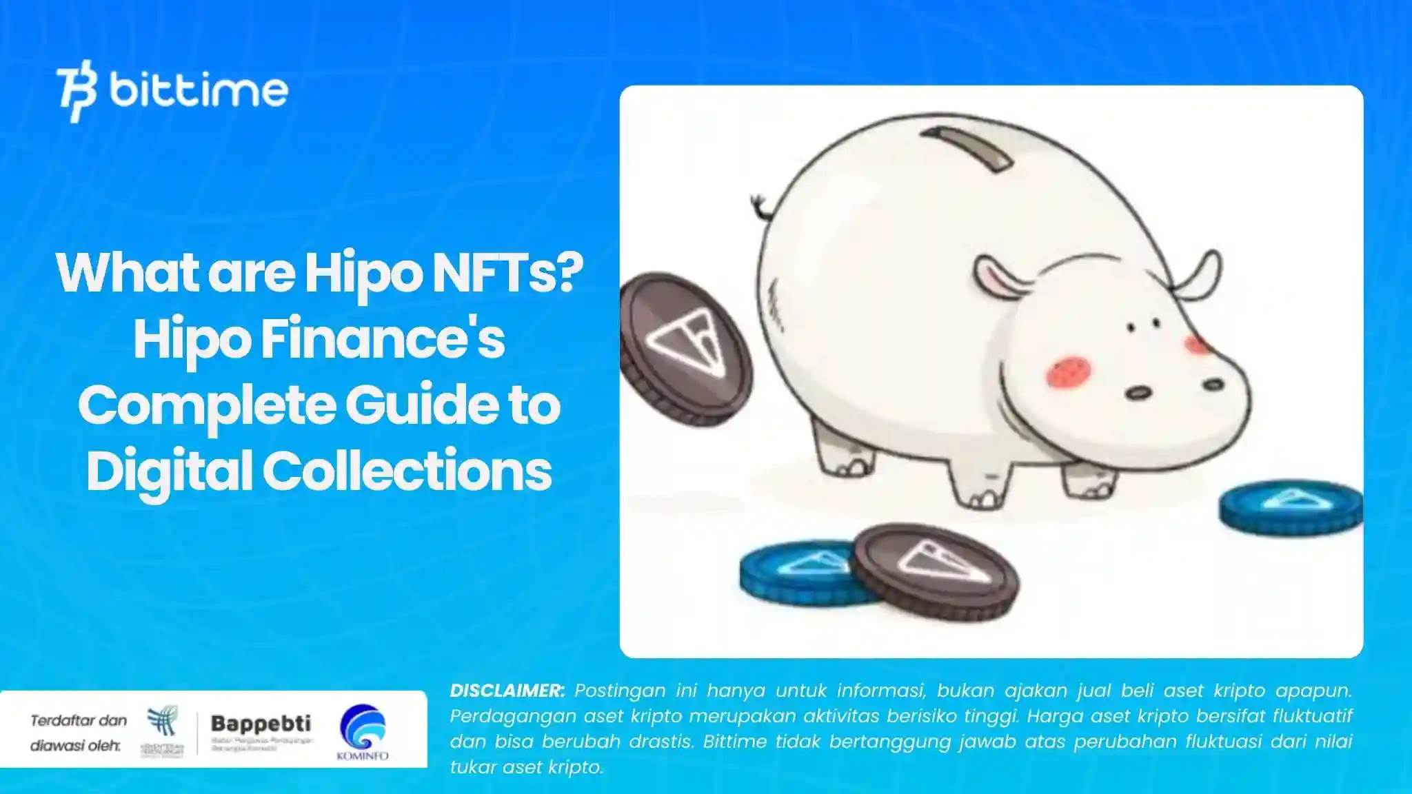 What are Hipo NFTs? Hipo Finance's Complete Guide to Digital Collections