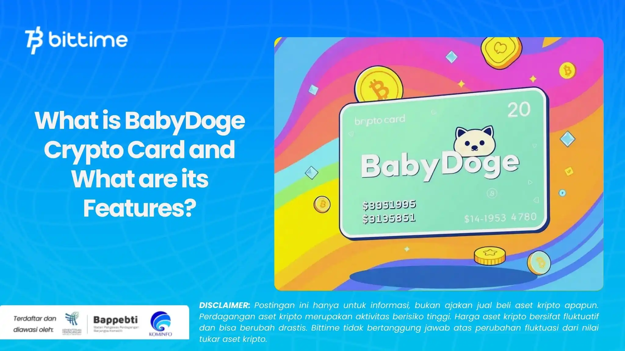 What is BabyDoge Crypto Card and What are its Features?