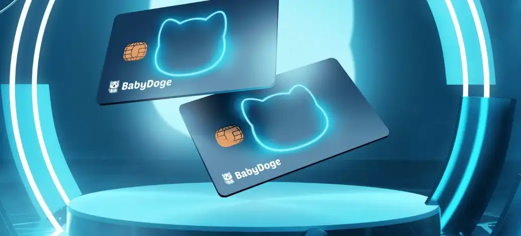 What is BabyDoge Crypto Card and What are its Features - bittime.webp