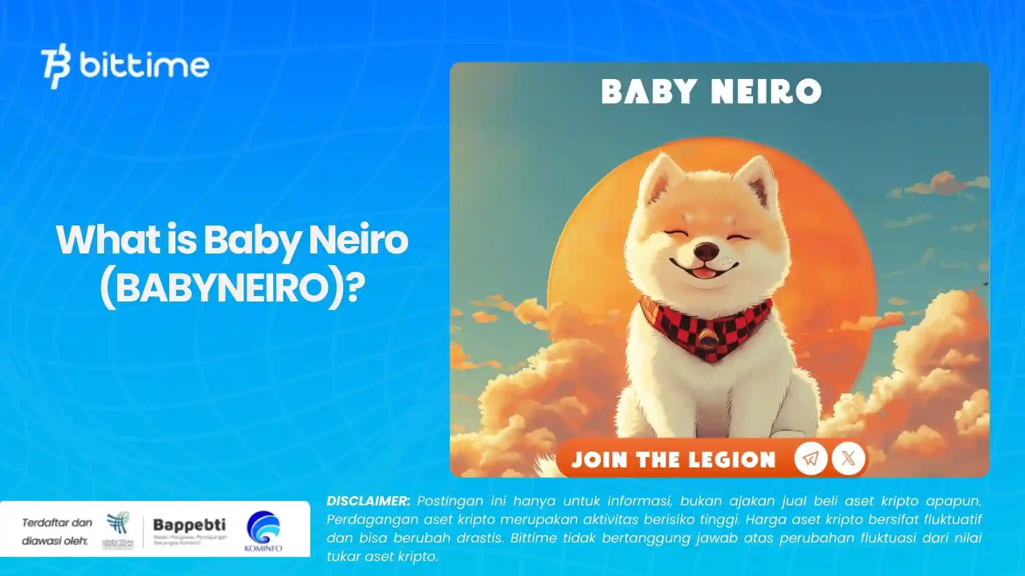 What is Baby Neiro (BABYNEIRO).webp