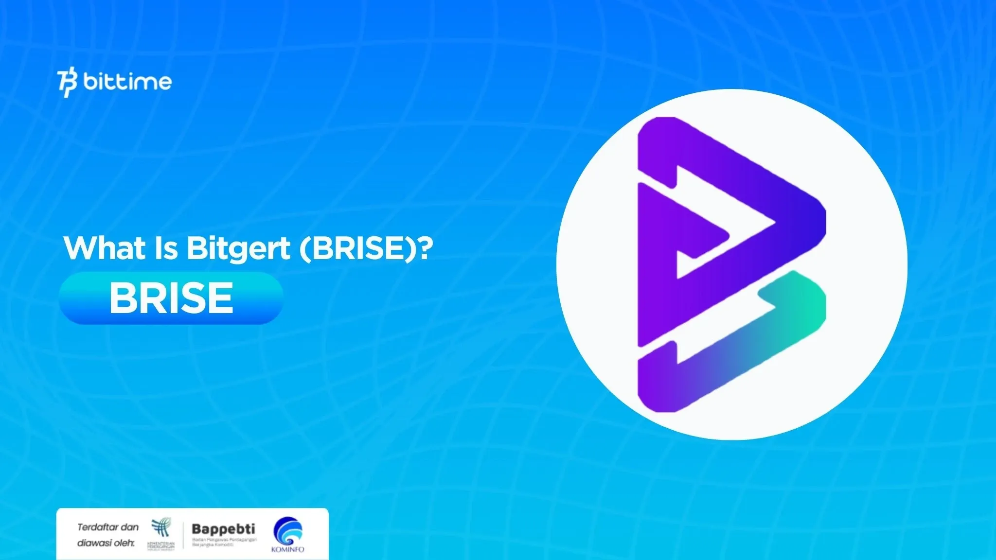 What is Bitgert (BRISE) Zero Transaction Fee and Web3 Innovation?