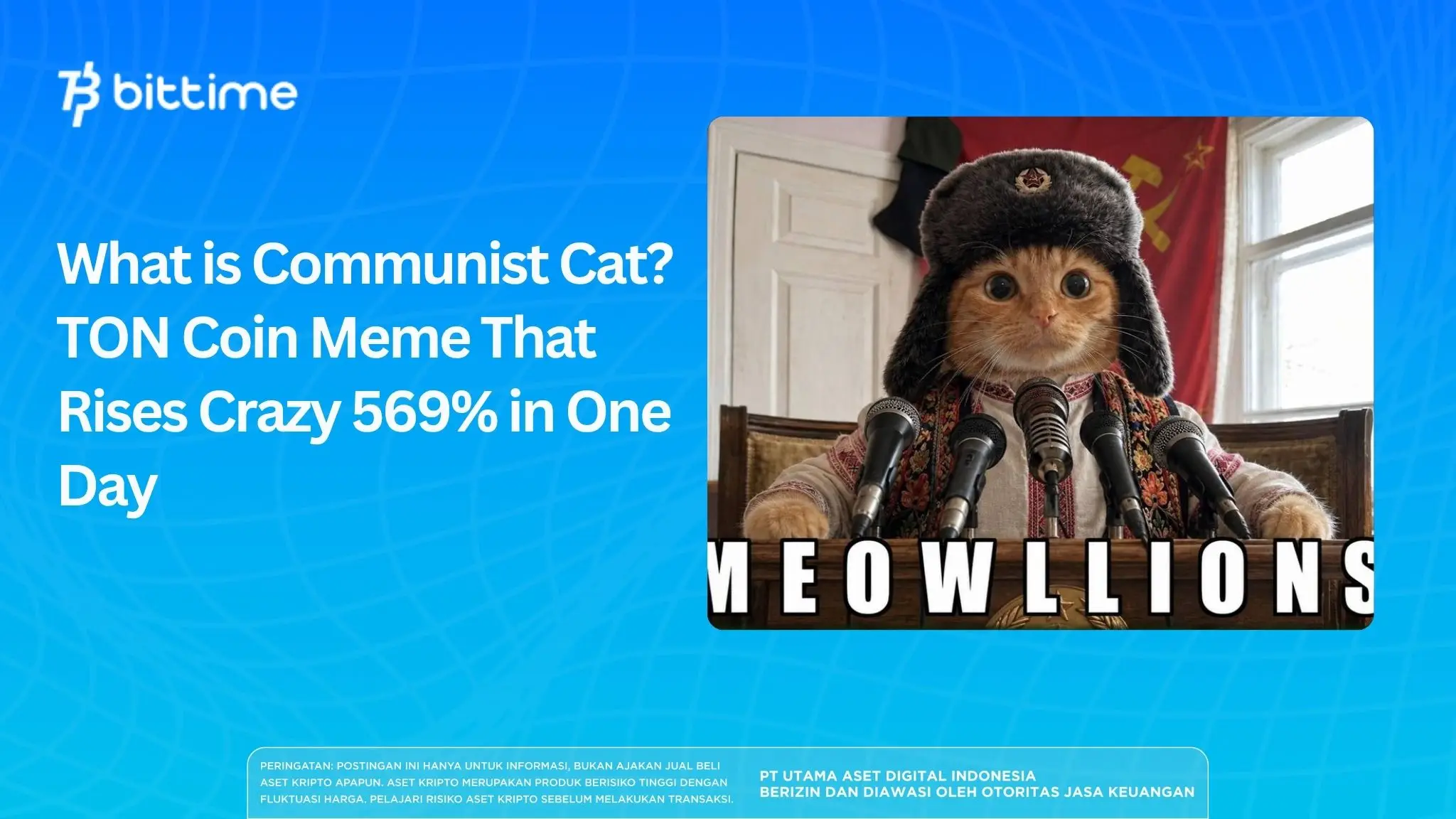 What is Communist Cat? TON Coin Meme That Rises Crazy 569% in One Day