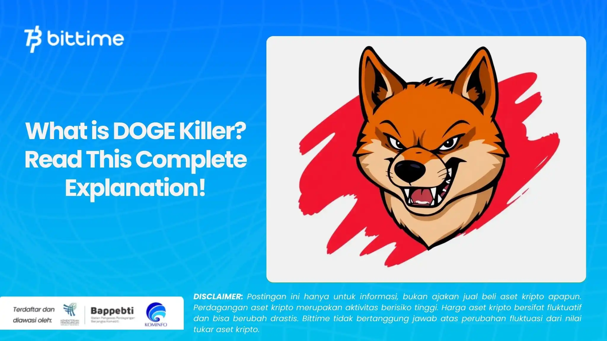 What is DOGE Killer Read This Complete Explanation!.webp