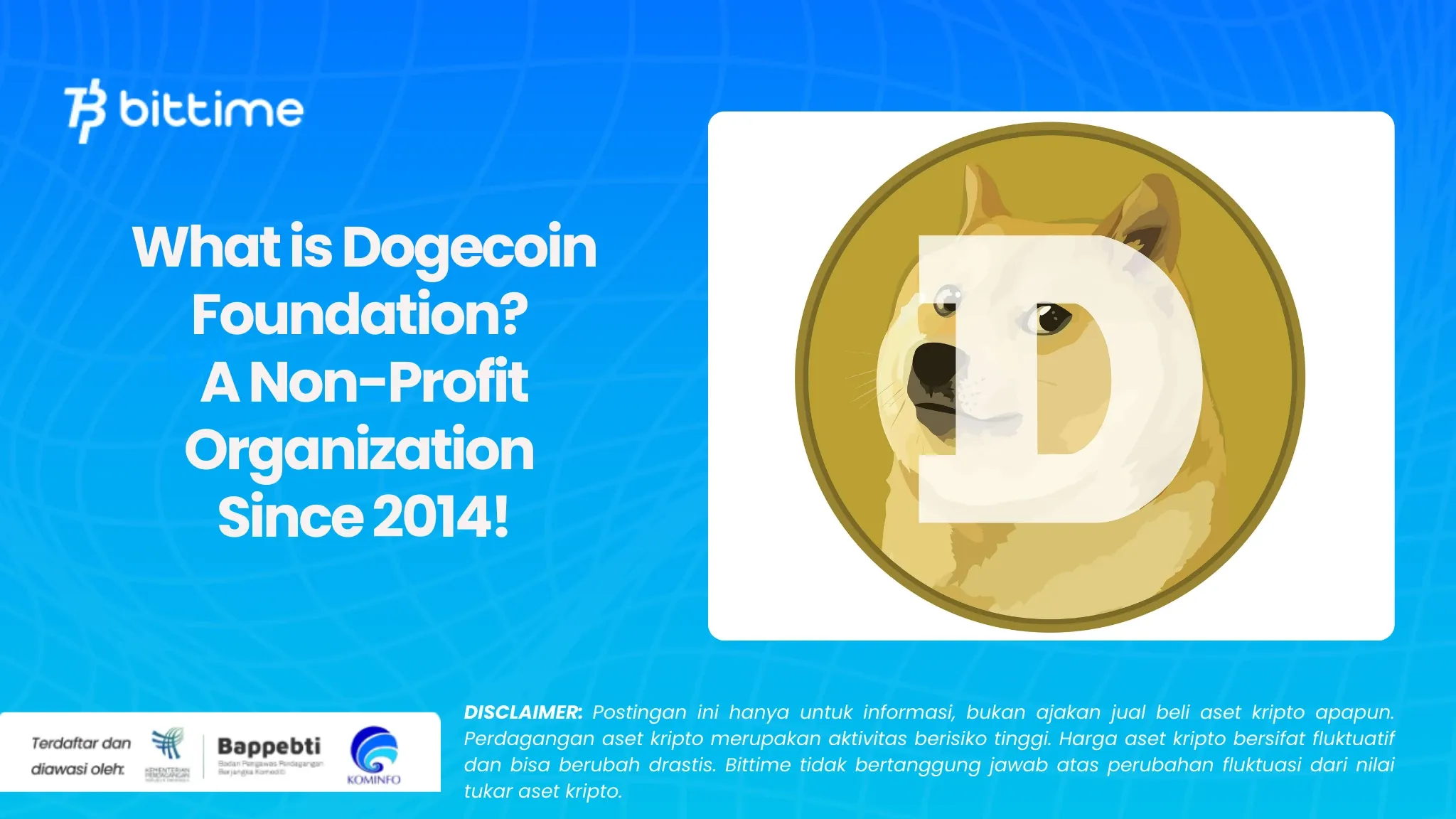 What is Dogecoin Foundation.webp