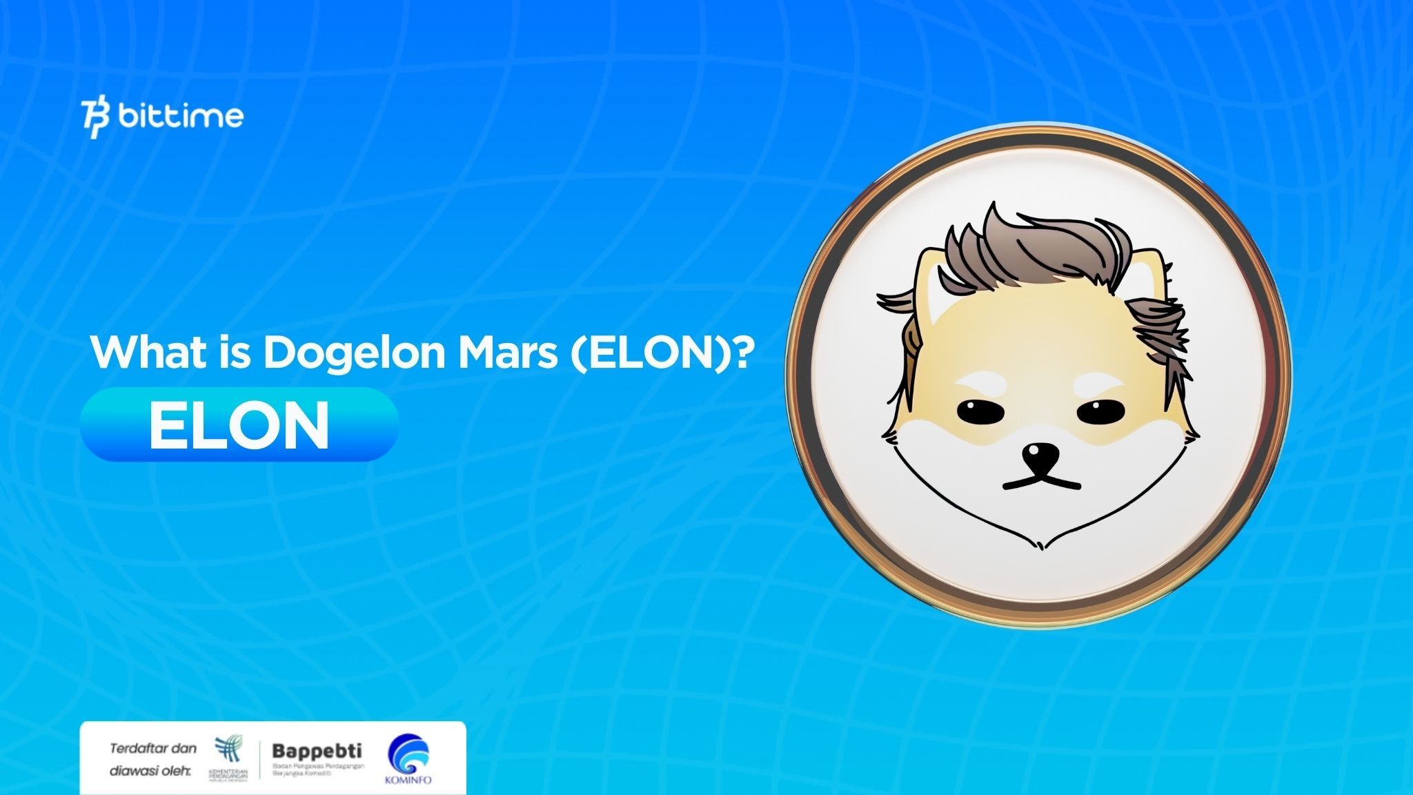 What is Dogelon Mars (ELON) A Coin That Combines Humor and Blockchain Technology.jpg