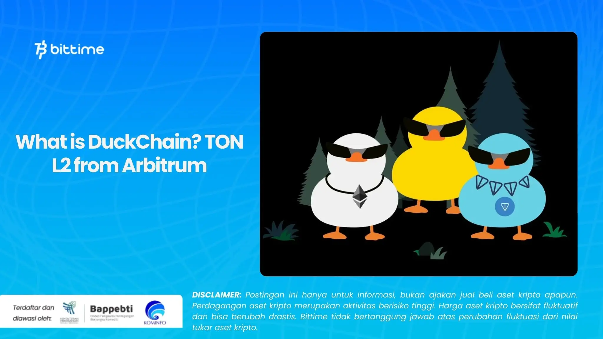 What is DuckChain TON L2 from Arbitrum.webp