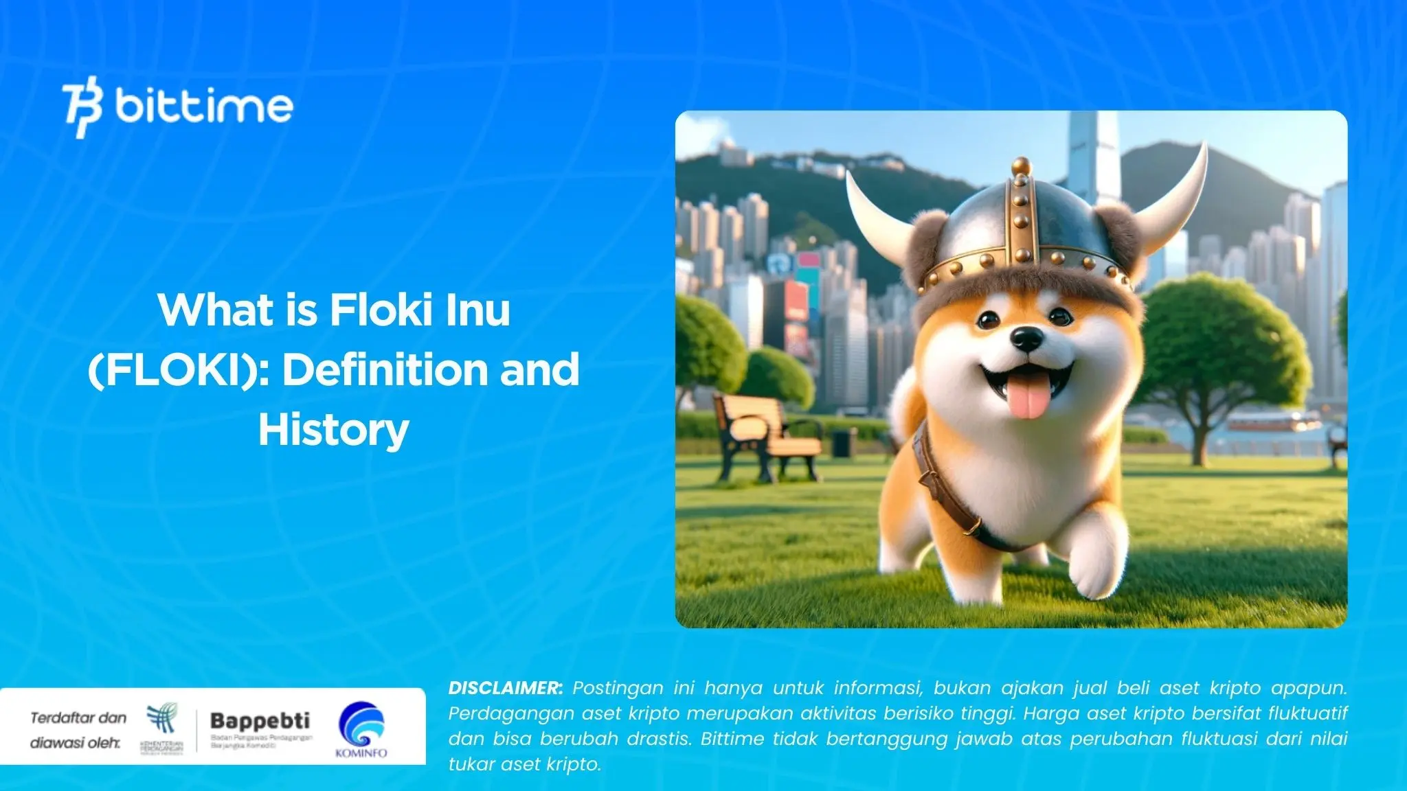 What is Floki Inu (FLOKI) Definition and History.webp