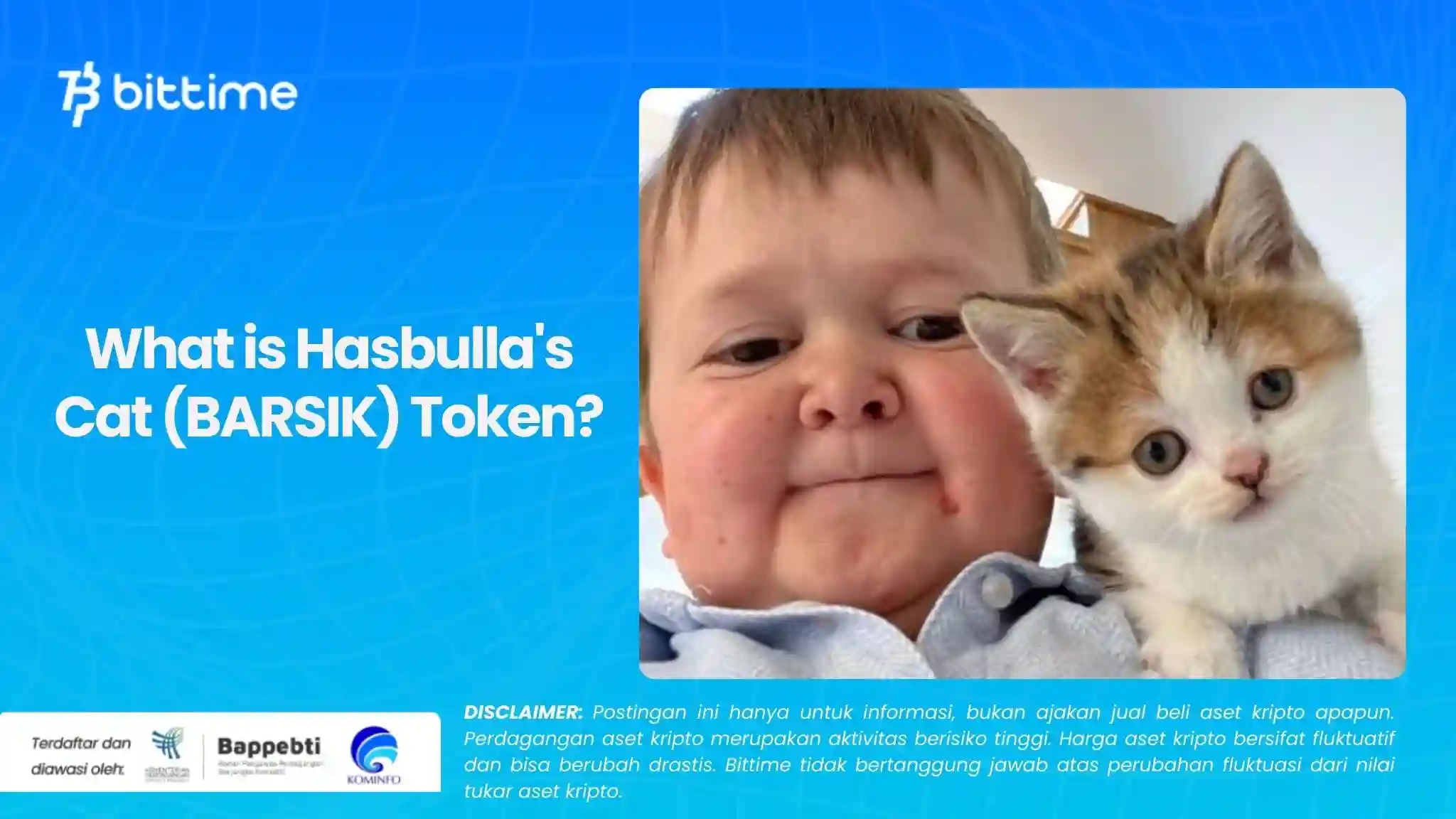 What is Hasbulla's Cat (BARSIK) Token.webp