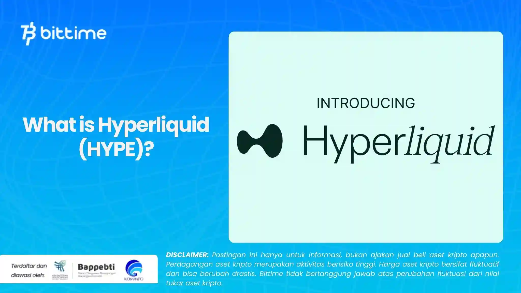 What is Hyperliquid (HYPE).webp