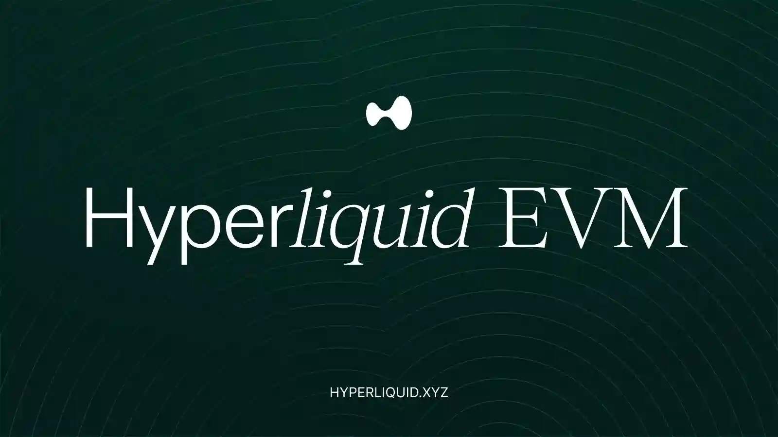 What is Hyperliquid (HYPE) - image 2.webp