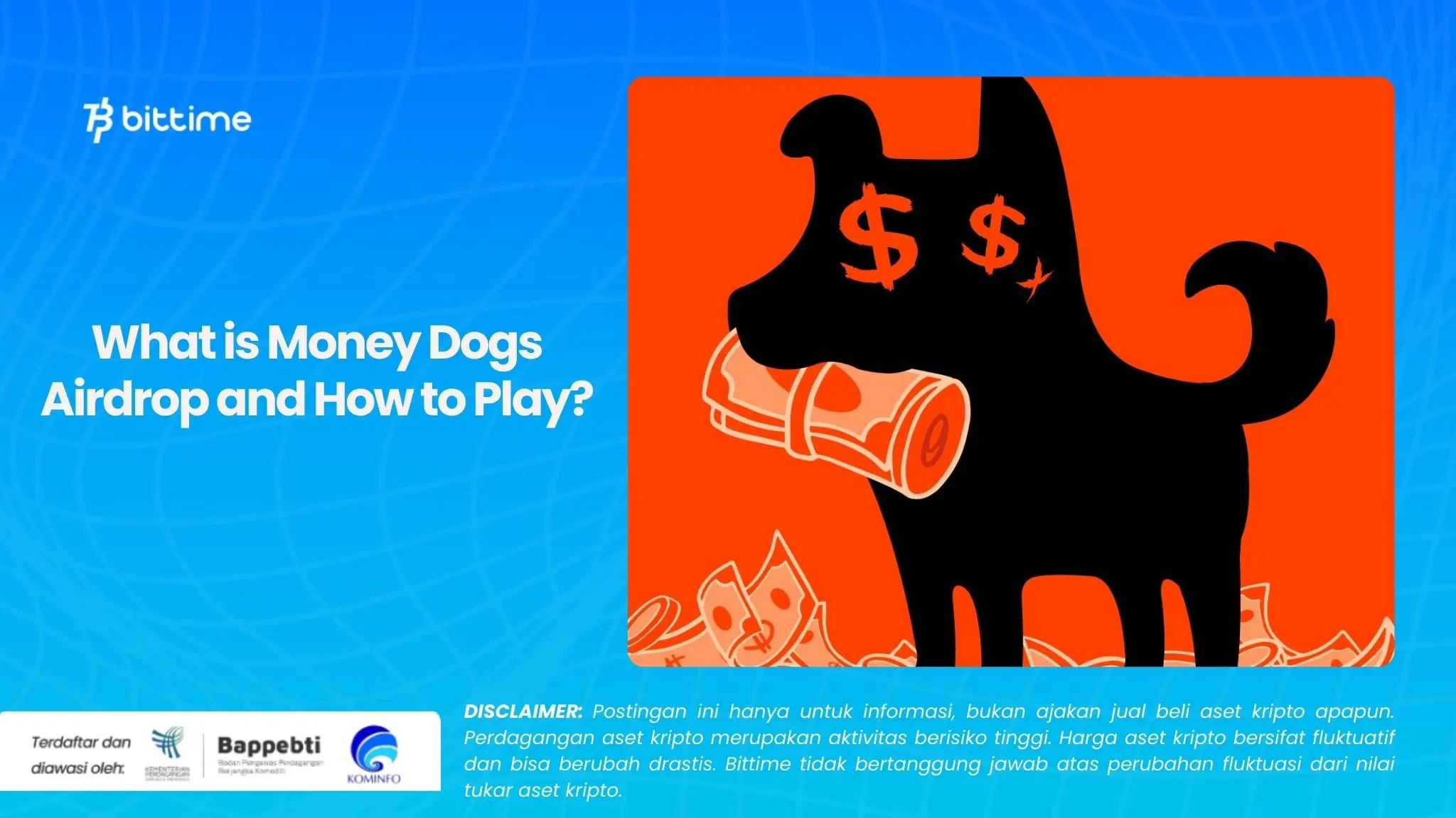 What is Money Dogs Airdrop and How to Play.webp