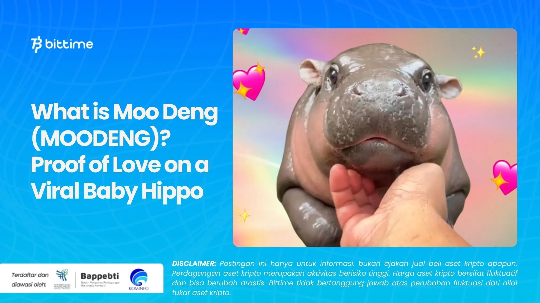 What is Moo Deng (MOODENG)? Proof of Love on a Viral Baby Hippo