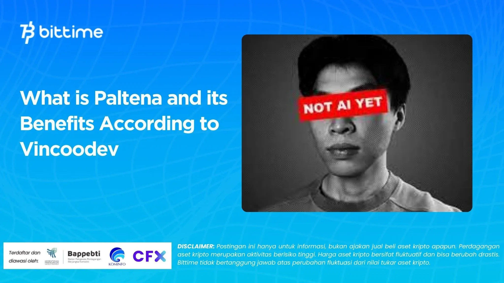 What is Paltena and its Benefits According to Vincoodev