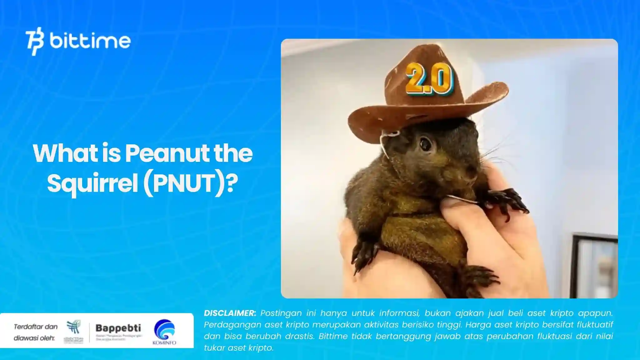 What is Peanut the Squirrel (PNUT).webp