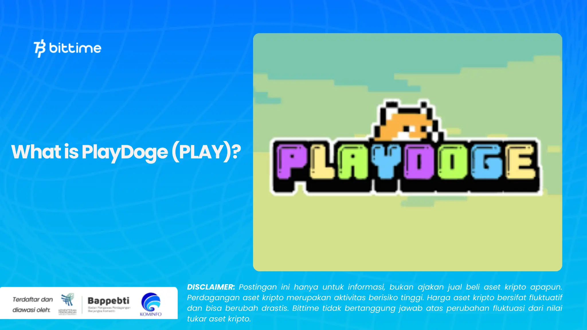 What is PlayDoge (PLAY)?