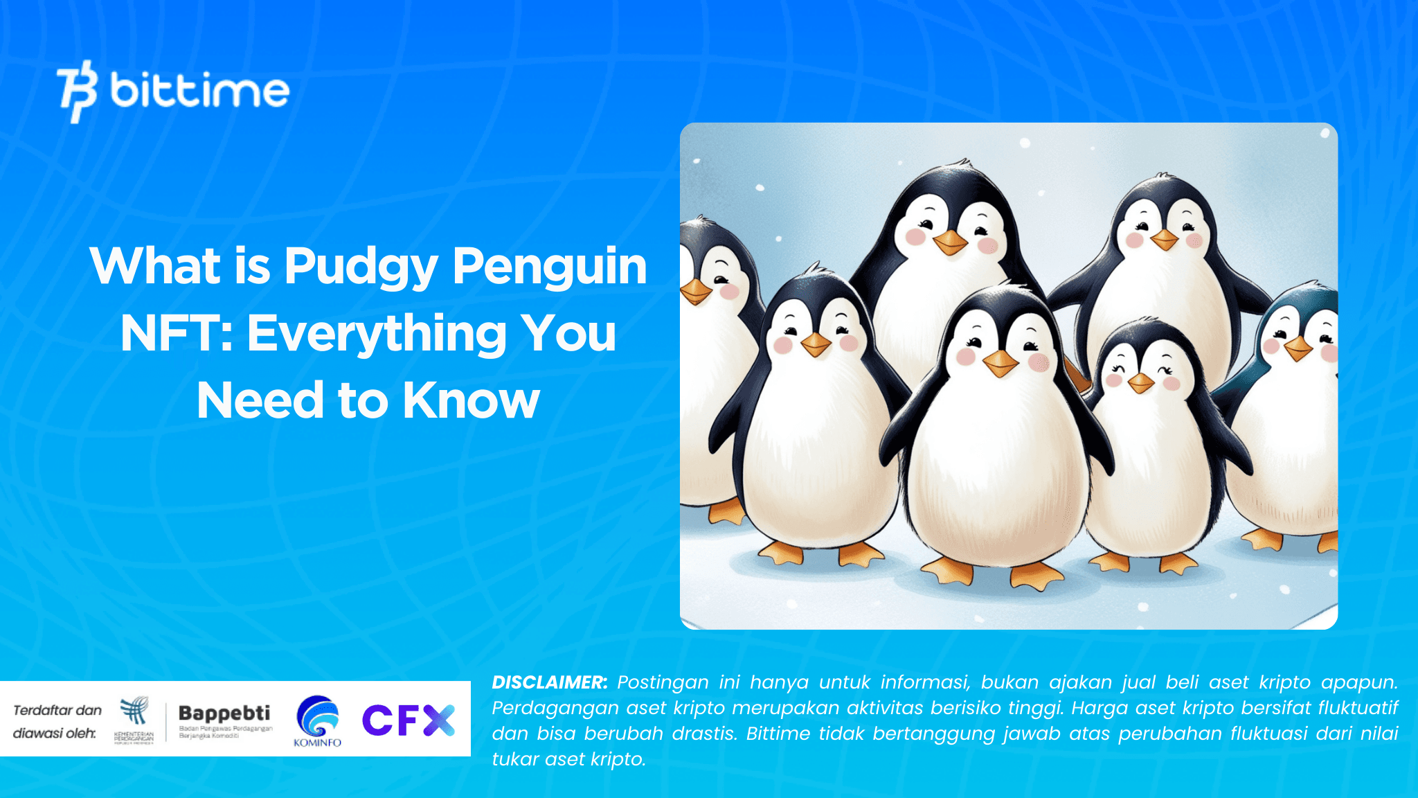 What is Pudgy Penguin NFT Everything You Need to Know.png