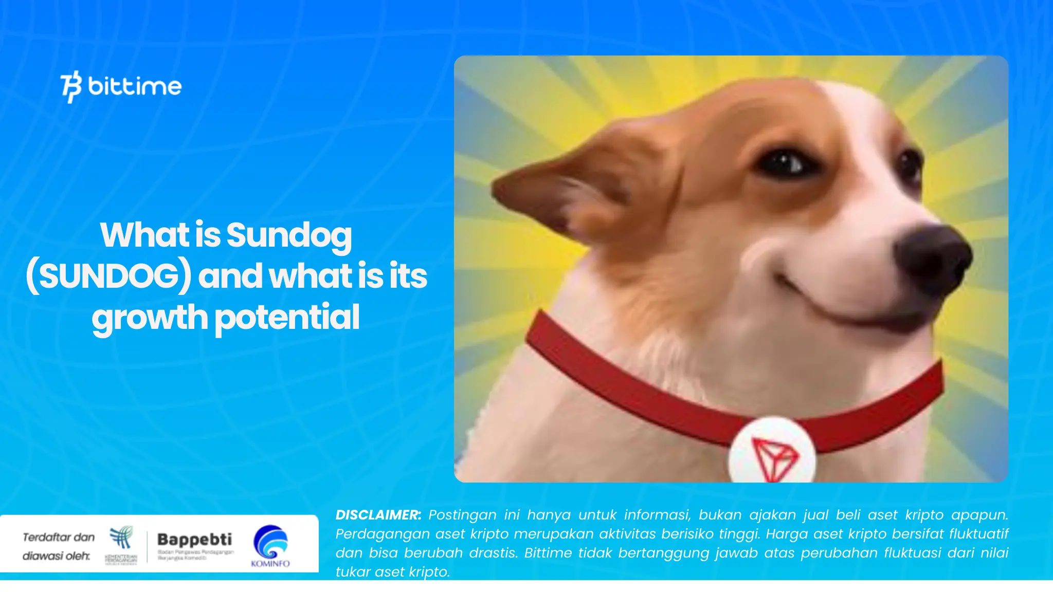 What is Sundog (SUNDOG) and what is its growth potential.webp