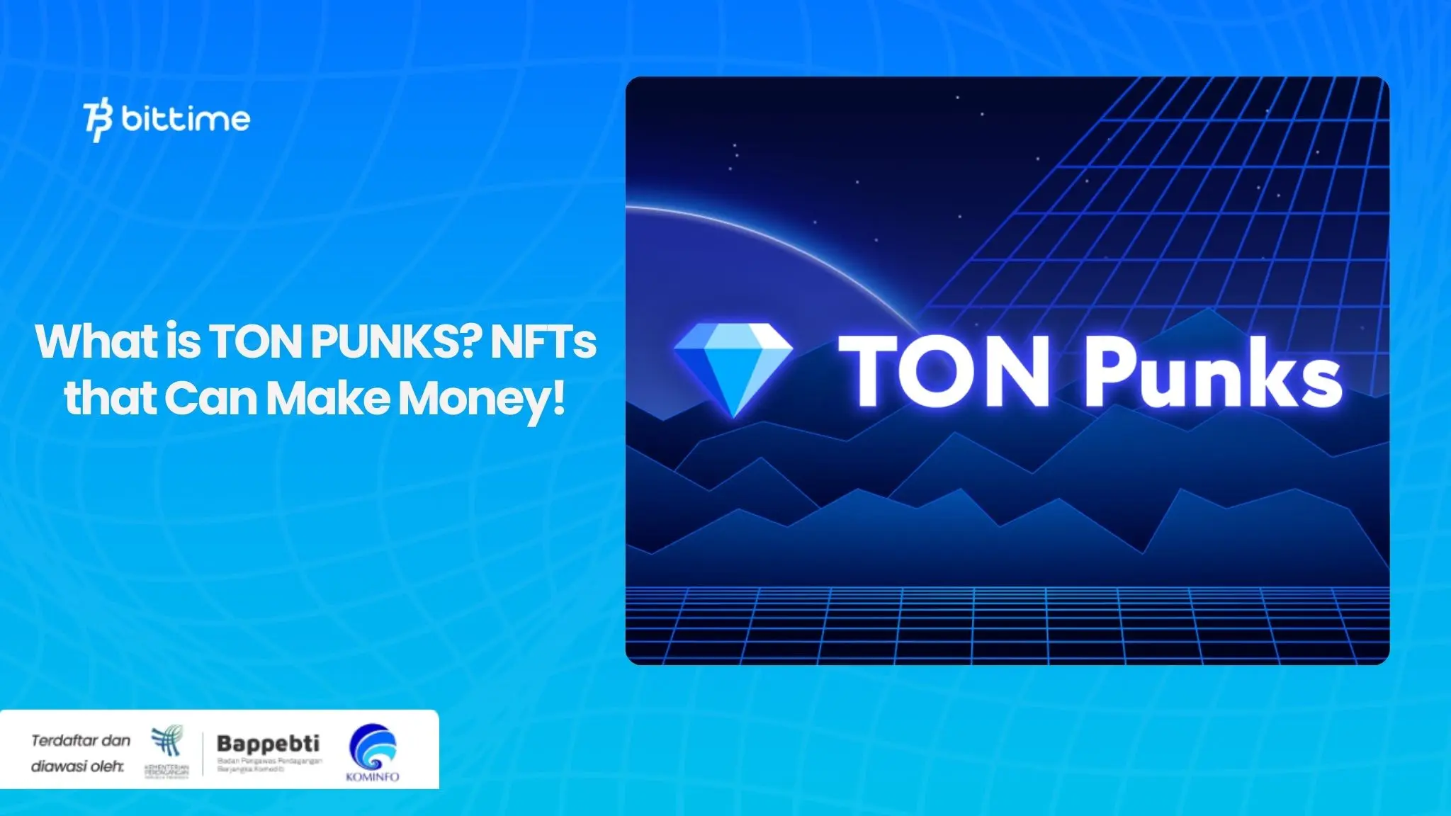 What is TON PUNKS NFTs that Can Make Money!.webp