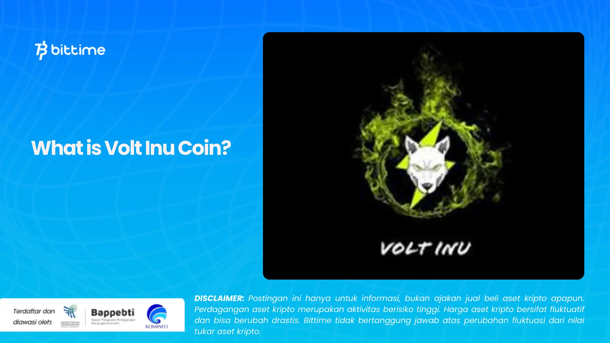 What is Volt Inu Coin?