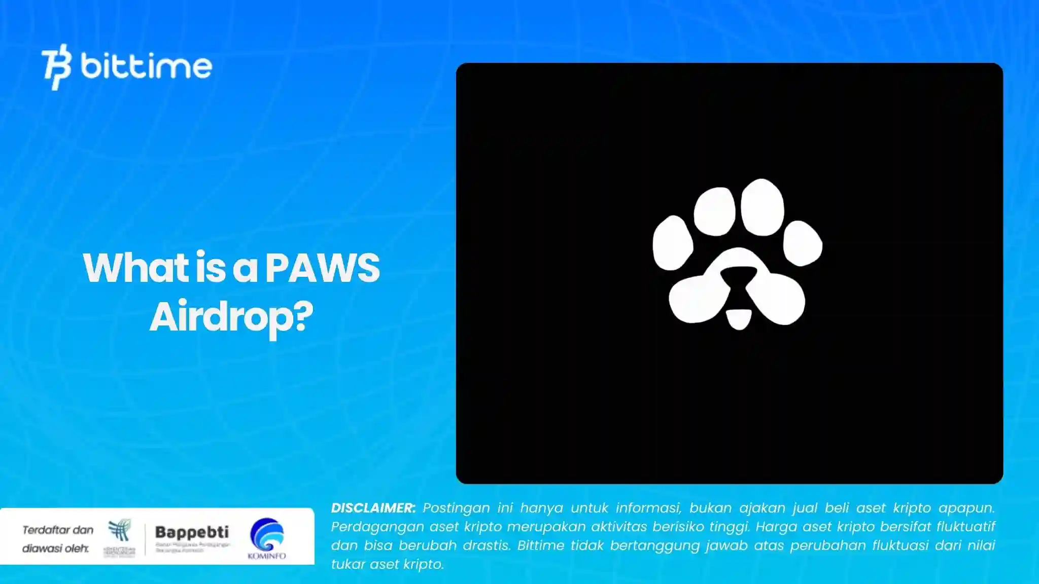 What is a PAWS Airdrop.webp