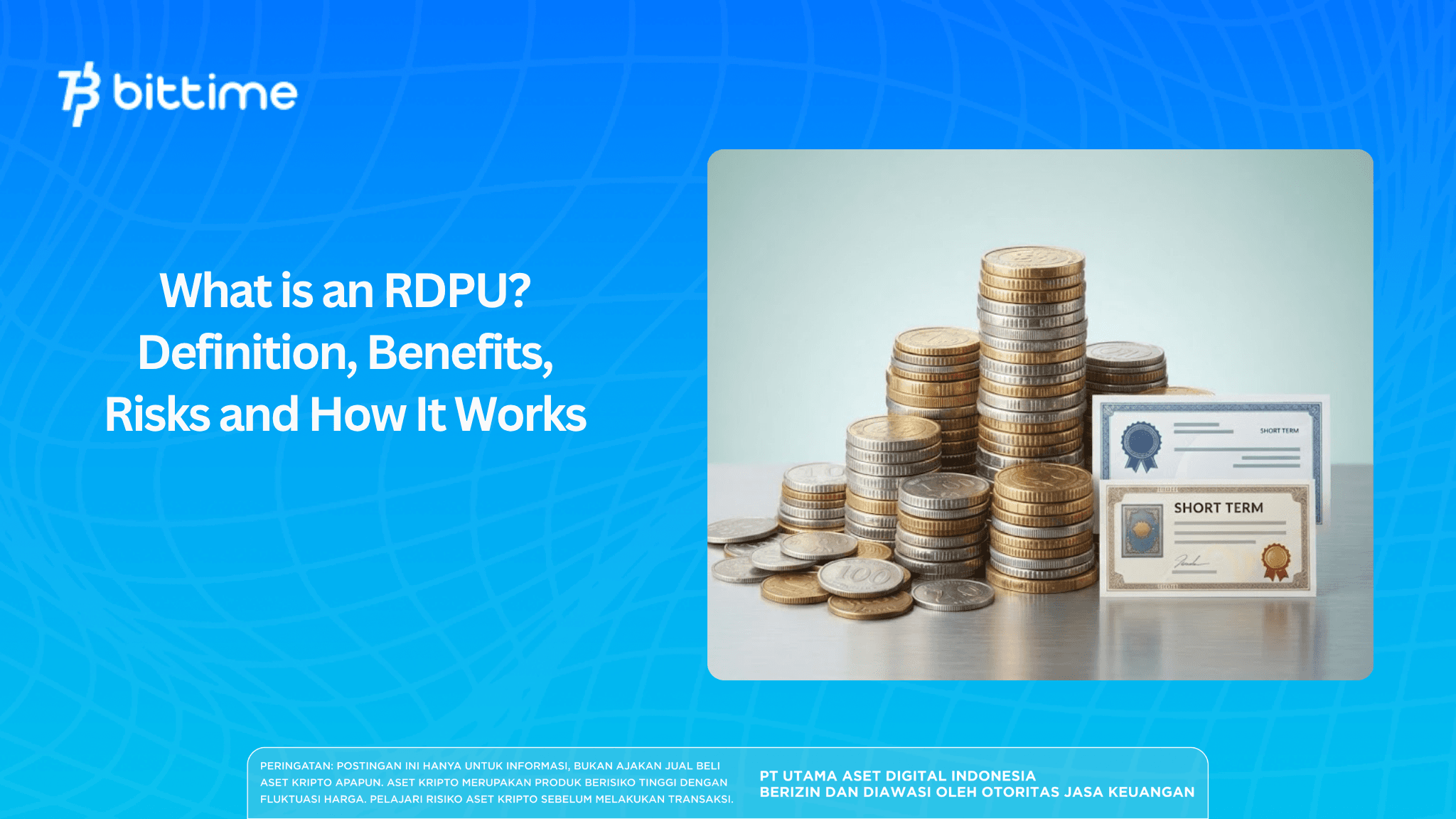 What is an RDPU? Definition, Benefits, Risks and How It Works