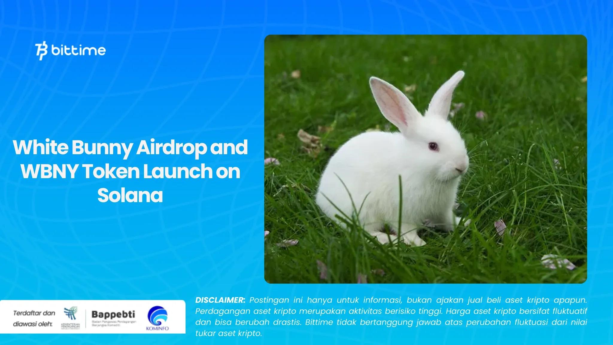 White Bunny Airdrop dan Peluncuran Token WBNY di Solana (1).webp