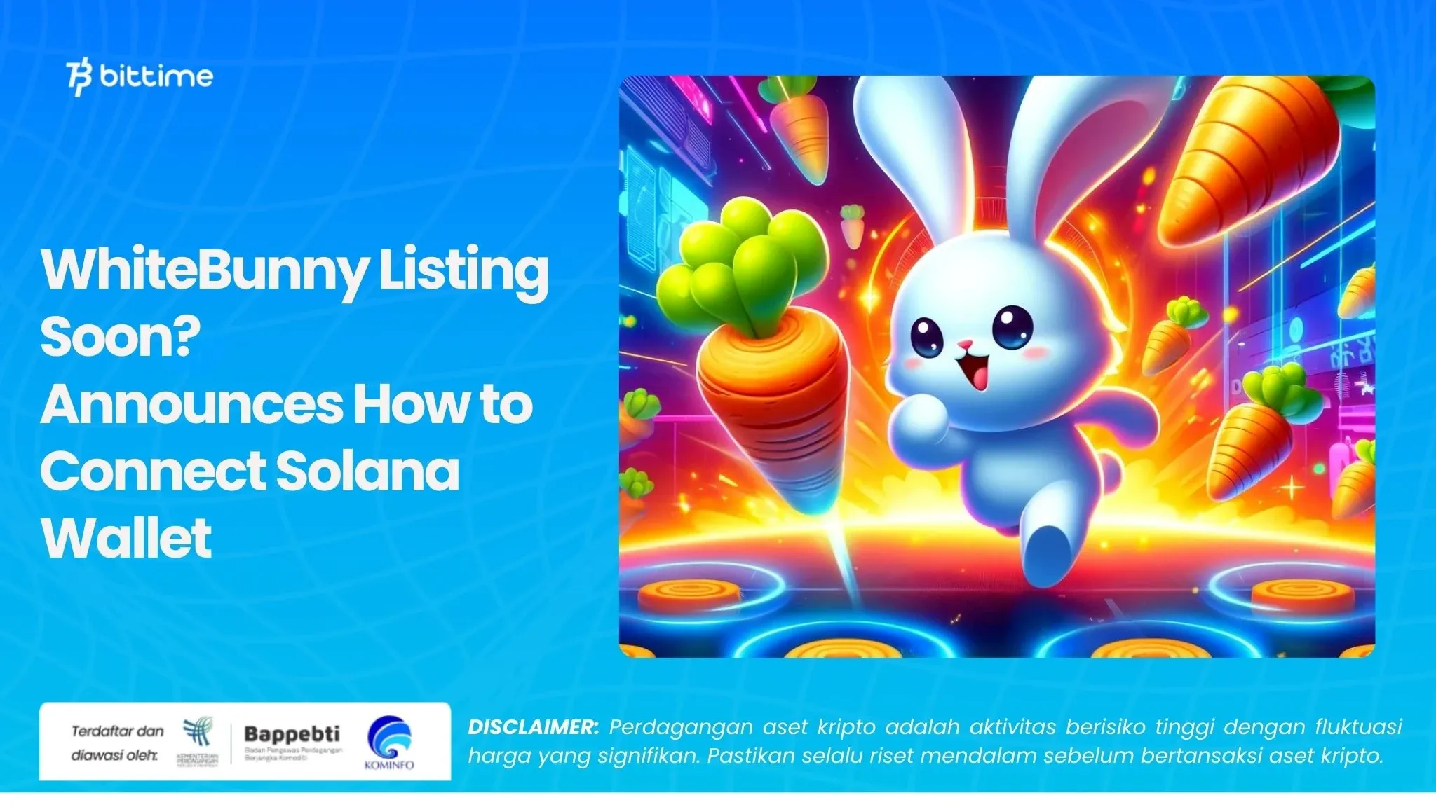  WhiteBunny Listing Soon? Announces How to Connect Solana Wallet