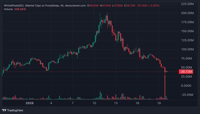 WhiteWhale Cryptonews.jpeg