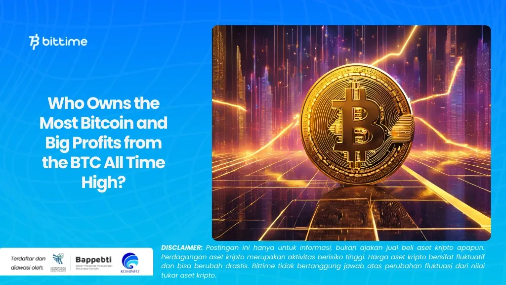 Who Owns the Most Bitcoin and Big Profits from the BTC All Time High