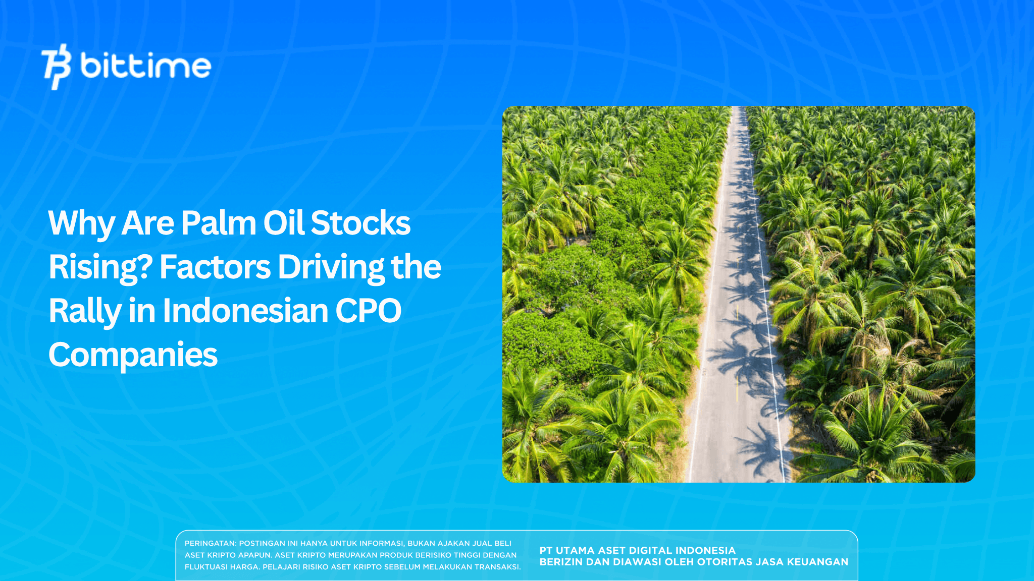 Why Are Palm Oil Stocks Rising? Here Are the Factors Driving the Rally in Indonesian CPO Issuers