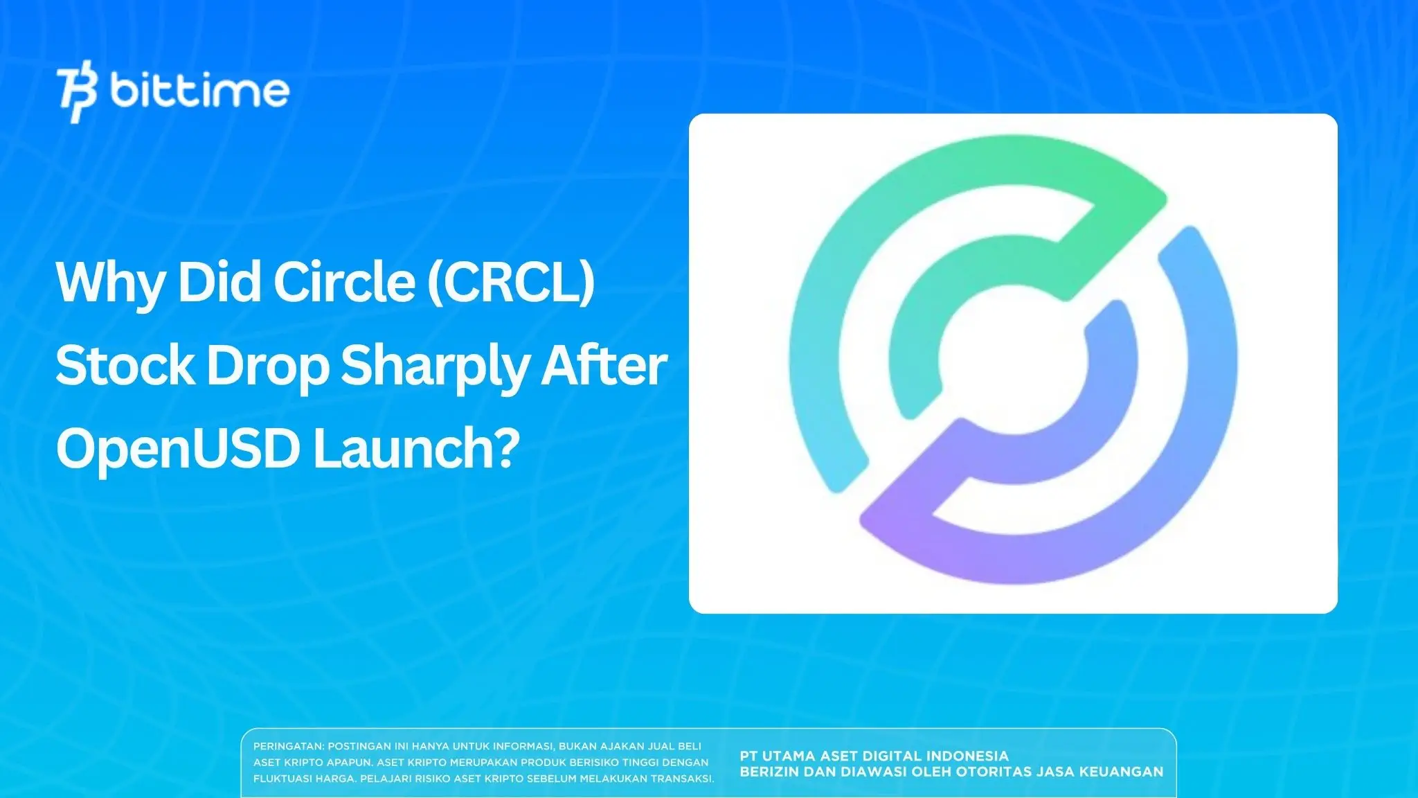 Why Did Circle (CRCL) Stock Drop Sharply After OpenUSD Launch.webp
