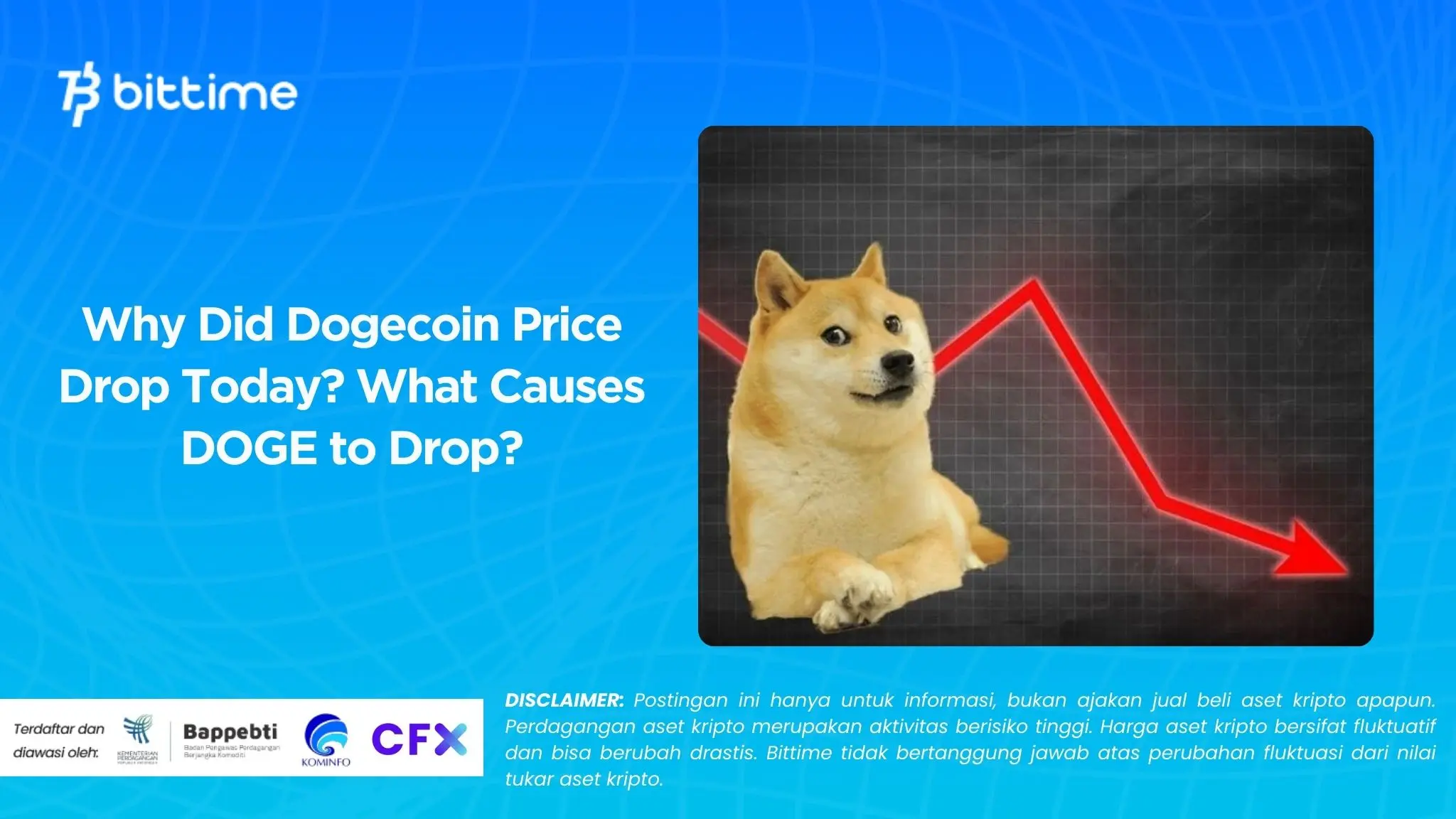 Why Did Dogecoin Price Drop Today What Causes DOGE to Drop.webp